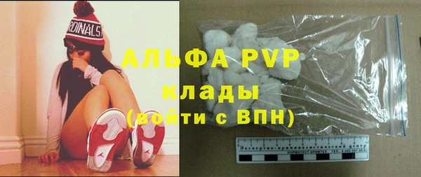 гидра Каменногорск