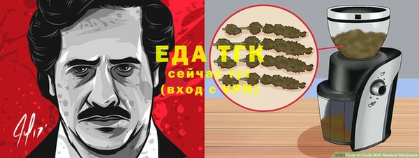 гидра Каменногорск
