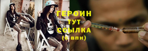 гидра Каменногорск
