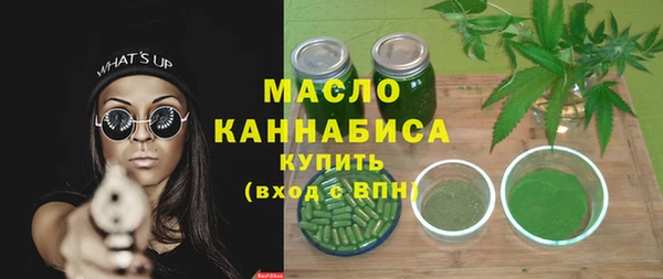 гидра Каменногорск