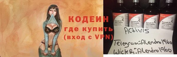 гидра Каменногорск