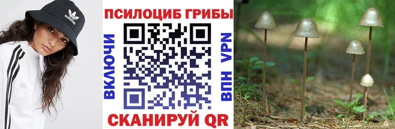 Галлюциногенные грибы Magic Shrooms  Кинешма 