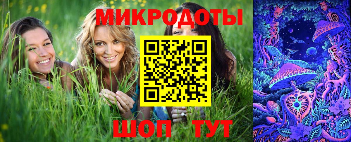 Галлюциногенные грибы Psilocybine cubensis Кинешма