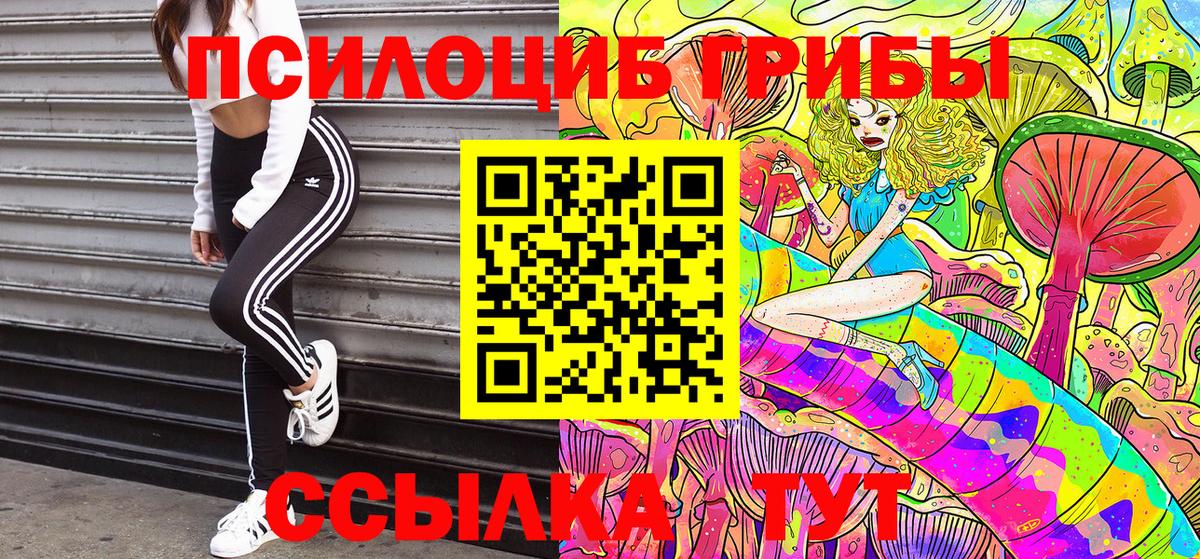 Галлюциногенные грибы MAGIC MUSHROOMS  Вход с VPN  Псилоцибиновые грибы GOLDEN TEACHER  Кинешма 